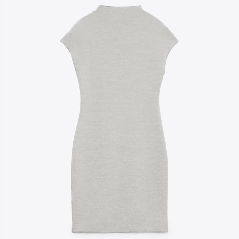 Zara Short Stretch Knit Dress